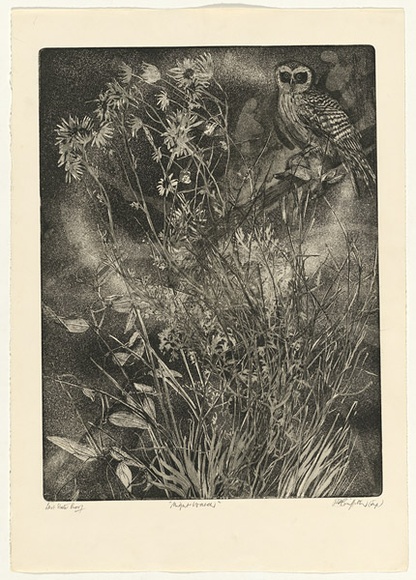 Artist: b'GRIFFITH, Pamela' | Title: b'Night watch' | Date: 1980 | Technique: b'etching, soft ground, spray resist, printed in black ink, from one zinc plate' | Copyright: b'\xc2\xa9 Pamela Griffith' Artist: b'GRIFFITH, Pamela' | Title: b'Night watch' | Date: 1980 | Technique: b'etching, soft ground, spray resist, printed in black ink, from one zinc plate' | Copyright: b'\xc2\xa9 Pamela Griffith'
