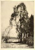 Artist: b'Long, Sydney.' | Title: b'Pastoral softground' | Date: 1918 | Technique: b'softground-etching, printed in warm black ink, from one zinc plate' | Copyright: b'Reproduced with the kind permission of the Ophthalmic Research Institute of Australia'
