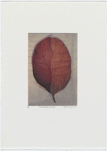 Artist: b'Wright, Helen.' | Title: b'(Leaf in 2 shades of orange, pale background)' | Date: 2000 | Technique: b'digital print, printed in colour, from digital file' Artist: b'Wright, Helen.' | Title: b'(Leaf in 2 shades of orange, pale background)' | Date: 2000 | Technique: b'digital print, printed in colour, from digital file'