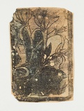 Artist: b'Sutherland, Jean.' | Title: b'not titled [light flower, dark background]'