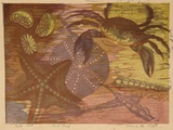 Artist: Higgs, Florence. | Title: Rock pool | Date: 1954 (about) | Technique: linocut, printed in colour inks, from multiple blocks