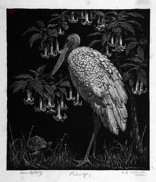 Artist: b'LINDSAY, Lionel' | Title: b'Philosophy' | Date: 1925 | Technique: b'wood-engraving, printed in black ink, from one block' | Copyright: b'Courtesy of the National Library of Australia' Artist: b'LINDSAY, Lionel' | Title: b'Philosophy' | Date: 1925 | Technique: b'wood-engraving, printed in black ink, from one block' | Copyright: b'Courtesy of the National Library of Australia'