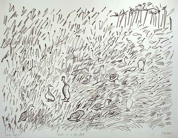 Artist: b'PLUNKETT, Jennifer' | Title: b'Ducks in a rice field' | Date: 1981 | Technique: b'lithograph, printed in black ink, from one stone' Artist: b'PLUNKETT, Jennifer' | Title: b'Ducks in a rice field' | Date: 1981 | Technique: b'lithograph, printed in black ink, from one stone'