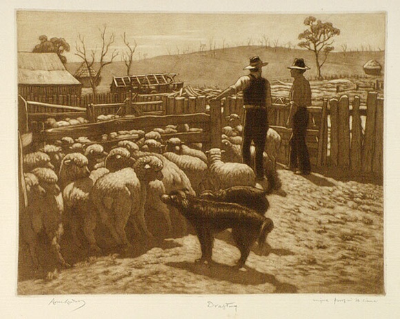 Artist: b'LINDSAY, Lionel' | Title: b'Drafting sheep' | Date: 1947 | Technique: b'mezzotint, roulette and etching, printed in burnst sienna ink, from one plate' | Copyright: b'Courtesy of the National Library of Australia' Artist: b'LINDSAY, Lionel' | Title: b'Drafting sheep' | Date: 1947 | Technique: b'mezzotint, roulette and etching, printed in burnst sienna ink, from one plate' | Copyright: b'Courtesy of the National Library of Australia'