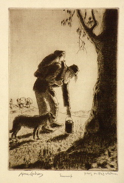 Artist: LINDSAY, Lionel | Title: Sunup | Date: 1935 | Technique: etching and drypoint, printed in brown ink with plate-tone, from one plate | Copyright: Courtesy of the National Library of Australia