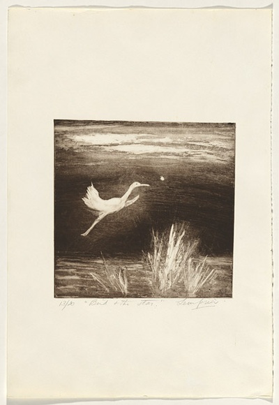 Artist: b'Lempriere, Helen' | Title: b'Bird and the star' | Date: 1960s | Technique: b'softground-etching, printed in black ink, from one plate' Artist: b'Lempriere, Helen' | Title: b'Bird and the star' | Date: 1960s | Technique: b'softground-etching, printed in black ink, from one plate'