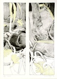 Artist: Hellyar, Christine. | Title: Germinal | Date: 1990 | Technique: lithograph, printed in colour, from multiple stones