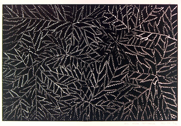 Artist: b'Petyarre, Nora.' | Title: b'not titled [No.27]' | Date: 1990 | Technique: b'woodcut, printed in black ink, from one block' | Copyright: b'\xc2\xa9 Nora Petyarr. Licensed by VISCOPY, Australia'