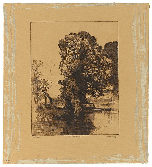 Artist: b'Long, Sydney.' | Title: b'The water meads' | Date: 1928 | Technique: b'line-etching, drypoint printed in brown ink from one zinc plate' | Copyright: b'Reproduced with the kind permission of the Ophthalmic Research Institute of Australia' Artist: b'Long, Sydney.' | Title: b'The water meads' | Date: 1928 | Technique: b'line-etching, drypoint printed in brown ink from one zinc plate' | Copyright: b'Reproduced with the kind permission of the Ophthalmic Research Institute of Australia'