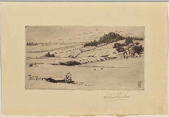 Artist: b'SHIRLOW, John' | Title: b'Pasture Lands' | Date: 1903 | Technique: b'etching, printed in warm black ink with plate-tone, from one copper plate' Artist: b'SHIRLOW, John' | Title: b'Pasture Lands' | Date: 1903 | Technique: b'etching, printed in warm black ink with plate-tone, from one copper plate'
