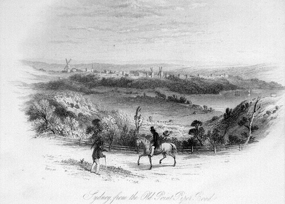 Artist: b'Terry, F.C.' | Title: b'Sydney, from Old Point Piper Road' | Date: 1855 | Technique: b'engraving, printed in black ink, from one steel plate' Artist: b'Terry, F.C.' | Title: b'Sydney, from Old Point Piper Road' | Date: 1855 | Technique: b'engraving, printed in black ink, from one steel plate'