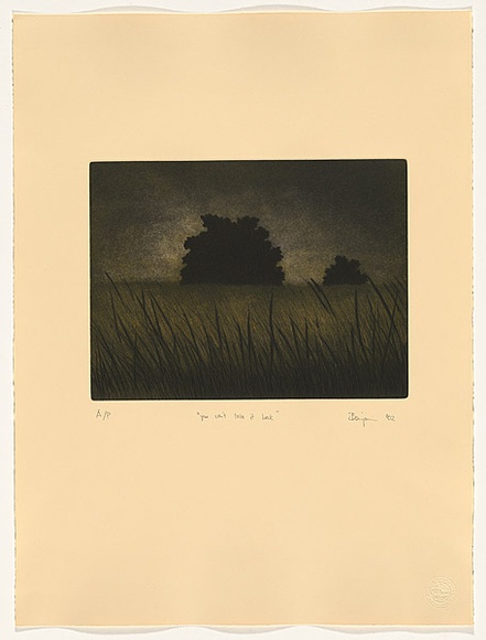 Artist: b'Benjamin, Jason.' | Title: bYou can't take it back | Date: 2002 | Technique: b'etching and aquatint, printed in colour, from one plate' Artist: b'Benjamin, Jason.' | Title: bYou can't take it back | Date: 2002 | Technique: b'etching and aquatint, printed in colour, from one plate'