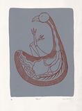 Artist: Clarmont, Sammy. | Title: Nhampi | Date: 1997 | Technique: screenprint, printed in colour, from two stencils
