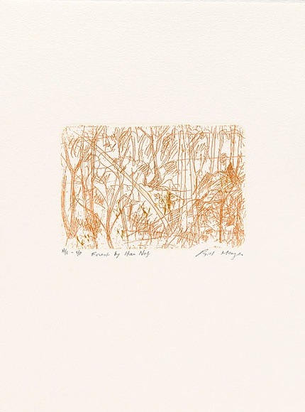 Artist: b'MEYER, Bill' | Title: b'Forest by Har Nof' | Date: 1992 | Technique: b'etching and roulette drypoint, printed in brown ink a la poup\xc3\xa9e, from one zinc plate' | Copyright: b'\xc2\xa9 Bill Meyer' Artist: b'MEYER, Bill' | Title: b'Forest by Har Nof' | Date: 1992 | Technique: b'etching and roulette drypoint, printed in brown ink a la poup\xc3\xa9e, from one zinc plate' | Copyright: b'\xc2\xa9 Bill Meyer'