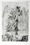 Artist: COLEING, Tony | Title: Bunyah pine meets lilo man. | Date: 1989-90 | Technique: etching, printed in black ink, from one plate