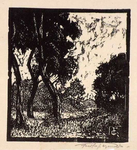 Artist: b'Reynolds, Frederick George.' | Title: b'(Trees in a landscape)' | Date: c.1929 | Technique: b'woodcut, printed in black ink, from one block' Artist: b'Reynolds, Frederick George.' | Title: b'(Trees in a landscape)' | Date: c.1929 | Technique: b'woodcut, printed in black ink, from one block'