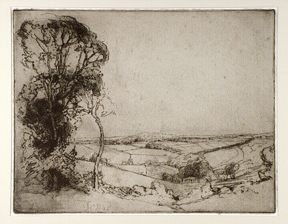 Artist: b'Long, Sydney.' | Title: b'Pastoral landscape' | Date: 1928, after | Technique: b'line-etching, drypoint, foul biting printed in black ink from one plate' | Copyright: b'Reproduced with the kind permission of the Ophthalmic Research Institute of Australia' Artist: b'Long, Sydney.' | Title: b'Pastoral landscape' | Date: 1928, after | Technique: b'line-etching, drypoint, foul biting printed in black ink from one plate' | Copyright: b'Reproduced with the kind permission of the Ophthalmic Research Institute of Australia'