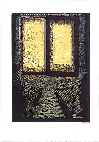 Artist: b'Marshall, Jennifer.' | Title: b'Towards the light VI' | Date: 1993 | Technique: b'woodcut and linocut, printed in colour, from four blocks' Artist: b'Marshall, Jennifer.' | Title: b'Towards the light VI' | Date: 1993 | Technique: b'woodcut and linocut, printed in colour, from four blocks'