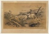Title: b'Kangaroo Hunting No.2 - The chase' | Date: 1858 | Technique: b'lithograph, printed in colour, from two stones (black image and text, buff tint stone)'