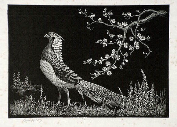 Artist: b'LINDSAY, Lionel' | Title: b'Spring' | Date: 1936 | Technique: b'wood-engraving, printed in black ink, from one block' | Copyright: b'Courtesy of the National Library of Australia' Artist: b'LINDSAY, Lionel' | Title: b'Spring' | Date: 1936 | Technique: b'wood-engraving, printed in black ink, from one block' | Copyright: b'Courtesy of the National Library of Australia'