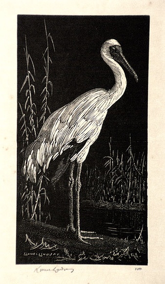 Artist: b'LINDSAY, Lionel' | Title: b'The white stork' | Date: 1925 | Technique: b'wood-engraving, printed in black ink, from one block' | Copyright: b'Courtesy of the National Library of Australia' Artist: b'LINDSAY, Lionel' | Title: b'The white stork' | Date: 1925 | Technique: b'wood-engraving, printed in black ink, from one block' | Copyright: b'Courtesy of the National Library of Australia'