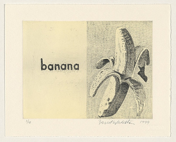 Artist: b'Wadelton, David.' | Title: bA page from Lucy's book | Date: 1999, November | Technique: b'etching, printed in black ink and relief printed in colour, from one plate' Artist: b'Wadelton, David.' | Title: bA page from Lucy's book | Date: 1999, November | Technique: b'etching, printed in black ink and relief printed in colour, from one plate'