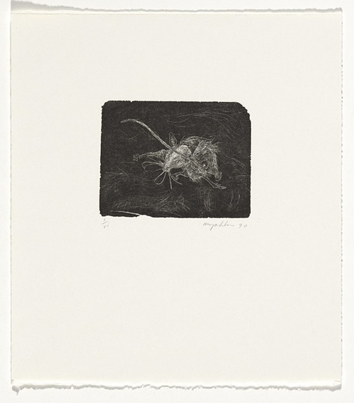 Artist: b'Myshkin, Tanya.' | Title: b'Dried mouse' | Date: 1990 | Technique: b'wood-engraving, printed in black ink, from one boxwood block' Artist: b'Myshkin, Tanya.' | Title: b'Dried mouse' | Date: 1990 | Technique: b'wood-engraving, printed in black ink, from one boxwood block'