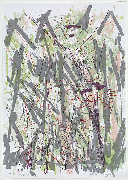 Artist: b'MEYER, Bill' | Title: b'Grey box bush' | Date: 1988 | Technique: b'photo-screenprint, printed in colour, from multiple stencils' | Copyright: b'\xc2\xa9 Bill Meyer' Artist: b'MEYER, Bill' | Title: b'Grey box bush' | Date: 1988 | Technique: b'photo-screenprint, printed in colour, from multiple stencils' | Copyright: b'\xc2\xa9 Bill Meyer'