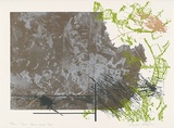 Artist: MEYER, Bill | Title: Earth leaves with gold | Date: 1980-1981 | Technique: screenprint, printed in five colours, from five screens (hand cut direct and photo indirect) | Copyright: © Bill Meyer