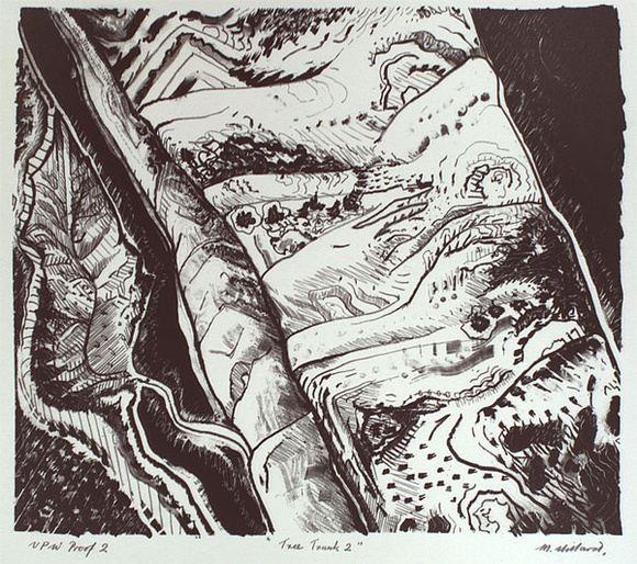 Artist: b'Hillard, Merris.' | Title: b'Tree trunk 2' | Date: c.1986 | Technique: b'lithograph, printed in black ink, from one stone' Artist: b'Hillard, Merris.' | Title: b'Tree trunk 2' | Date: c.1986 | Technique: b'lithograph, printed in black ink, from one stone'