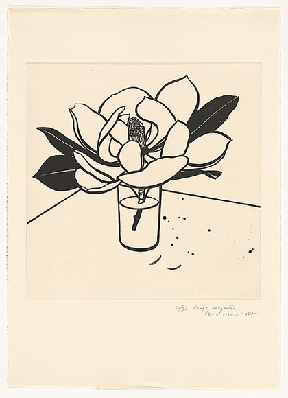Artist: b'Rose, David.' | Title: b'Large magnolia' | Date: 1984 | Technique: b'aquatint, printed in black ink, from one plate'