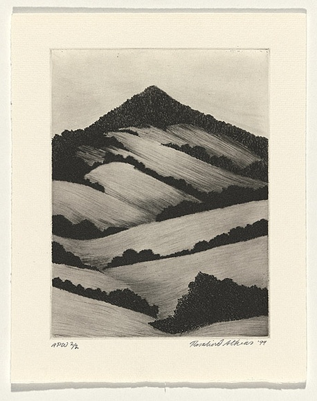 Artist: b'Atkins, Ros.' | Title: b'Still' | Date: 1999, November | Technique: b'etching and engraving, printed in black ink with plate-tone, from one plate' Artist: b'Atkins, Ros.' | Title: b'Still' | Date: 1999, November | Technique: b'etching and engraving, printed in black ink with plate-tone, from one plate'