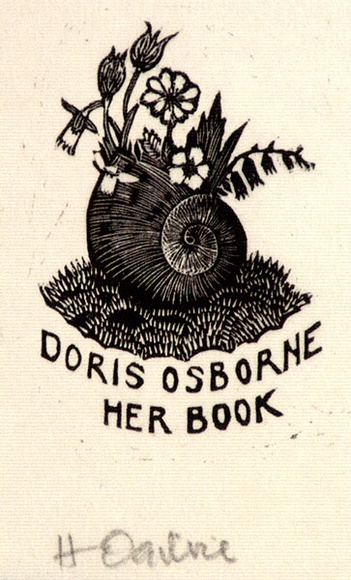 Artist: b'OGILVIE, Helen' | Title: bnot titled [Flowers growing out of snail's shell]. | Date: c.1944 | Technique: b'wood-engraving, printed in black ink, from one block'