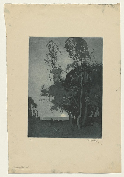 Artist: b'Long, Sydney.' | Title: b'Moonrise pastoral' | Date: 1918 | Technique: b'aquatint, printed in sepia ink, from one copper plate' | Copyright: b'Reproduced with the kind permission of the Ophthalmic Research Institute of Australia'