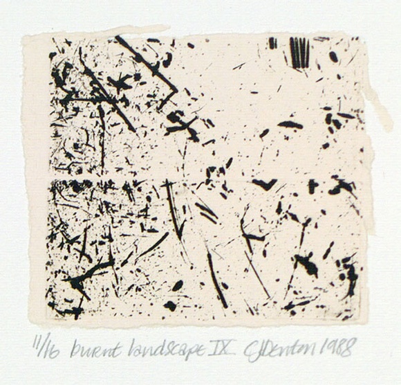 Artist: b'Denton, Chris' | Title: b'Burnt landscape IX.' | Date: 1988 | Technique: b'etching, printed in black ink, from one plate' | Copyright: b'Courtesy of the artist' Artist: b'Denton, Chris' | Title: b'Burnt landscape IX.' | Date: 1988 | Technique: b'etching, printed in black ink, from one plate' | Copyright: b'Courtesy of the artist'