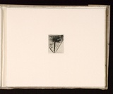 Artist: Mann, Gillian. | Title: (Triangle within a rectangle). | Date: 1981 | Technique: etching, printed in black ink, from one plate