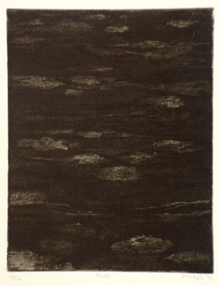 Artist: b'McIntosh, Ian.' | Title: b'Float' | Date: 1993 | Technique: b'aquatint, printed in black ink, with plate-tone; from one plate' Artist: b'McIntosh, Ian.' | Title: b'Float' | Date: 1993 | Technique: b'aquatint, printed in black ink, with plate-tone; from one plate'