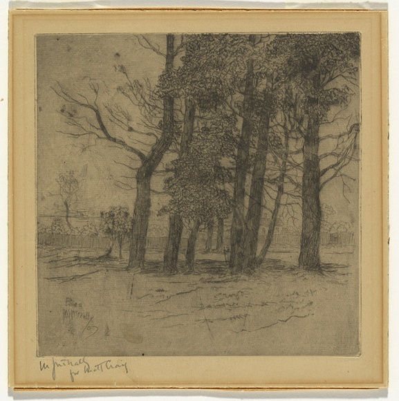 Artist: b'MacNally, M.J.' | Title: b'Pines' | Date: 1907 | Technique: b'etching, printed in black ink with plate-tone, from one plate' Artist: b'MacNally, M.J.' | Title: b'Pines' | Date: 1907 | Technique: b'etching, printed in black ink with plate-tone, from one plate'