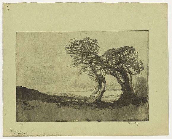 Artist: b'Long, Sydney.' | Title: b'A Cornish landscape' | Date: 1919 | Technique: b'aquatint and softground-etching, printed in black ink, from one copper plate' | Copyright: b'Reproduced with the kind permission of the Ophthalmic Research Institute of Australia' Artist: b'Long, Sydney.' | Title: b'A Cornish landscape' | Date: 1919 | Technique: b'aquatint and softground-etching, printed in black ink, from one copper plate' | Copyright: b'Reproduced with the kind permission of the Ophthalmic Research Institute of Australia'