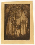 Artist: TRAILL, Jessie | Title: The west window | Date: 1922 | Technique: etching and drypoint, printed in warm black ink with plate-tone, from one plate