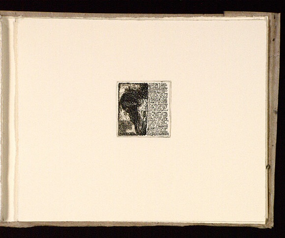 Artist: b'Mann, Gillian.' | Title: b'Text and womb.' | Date: 1981 | Technique: b'etching, printed in black ink, from one plate' Artist: b'Mann, Gillian.' | Title: b'Text and womb.' | Date: 1981 | Technique: b'etching, printed in black ink, from one plate'