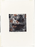 Artist: SHIMMEN, Heather | Title: Beauty spot. | Date: 1999 | Technique: linocut, printed in colour, from multiple blocks | Copyright: © Heather Shimmen
