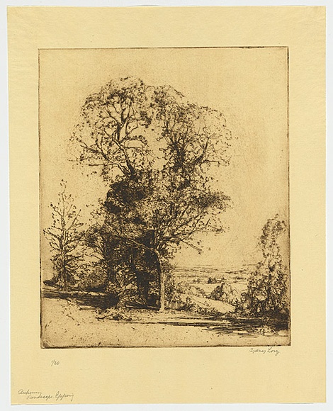 Artist: b'Long, Sydney.' | Title: b'Autumn landscape' | Date: 1920 | Technique: b'line-etching, printed in brown ink with plate-tone, from one copper plate' | Copyright: b'Reproduced with the kind permission of the Ophthalmic Research Institute of Australia'