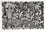 Artist: COLEING, Tony | Title: Tahiti - Perle du Pacifique. | Date: 1984 | Technique: etching and aquatint, printed in black ink, from one zinc plate