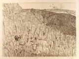Artist: b'Zofrea, Salvatore.' | Title: b'October' | Date: 1984 | Technique: b'hardground-etching, printed in brown ink, from one zinc plate' | Copyright: b'\xc2\xa9 Salvatore Zofrea, 1984'