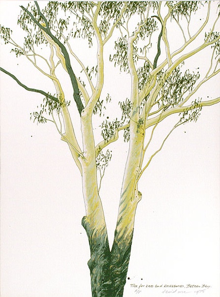 Artist: b'Rose, David.' | Title: b'Tree for bees and kookaburras, Bateau Bay' | Date: 1975 | Technique: b'screenprint, printed in colour, from multiple stencils' Artist: b'Rose, David.' | Title: b'Tree for bees and kookaburras, Bateau Bay' | Date: 1975 | Technique: b'screenprint, printed in colour, from multiple stencils'