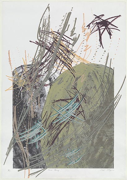 Artist: b'MEYER, Bill' | Title: b'Forest rising' | Date: 1986 | Technique: b'photo-screenprint, printed in colour, from eight stencils' | Copyright: b'\xc2\xa9 Bill Meyer' Artist: b'MEYER, Bill' | Title: b'Forest rising' | Date: 1986 | Technique: b'photo-screenprint, printed in colour, from eight stencils' | Copyright: b'\xc2\xa9 Bill Meyer'