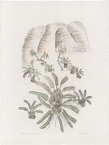 Artist: b'Bradhurst, Jane.' | Title: b'Cycad forest with Bungle Bungles, Kimberley.' | Date: 1997 | Technique: b'lithograph, printed in black ink, from one stone; hand-coloured in watercolour' Artist: b'Bradhurst, Jane.' | Title: b'Cycad forest with Bungle Bungles, Kimberley.' | Date: 1997 | Technique: b'lithograph, printed in black ink, from one stone; hand-coloured in watercolour'