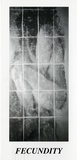 Fecundity: [prints] by Elizabeth Abbott.
