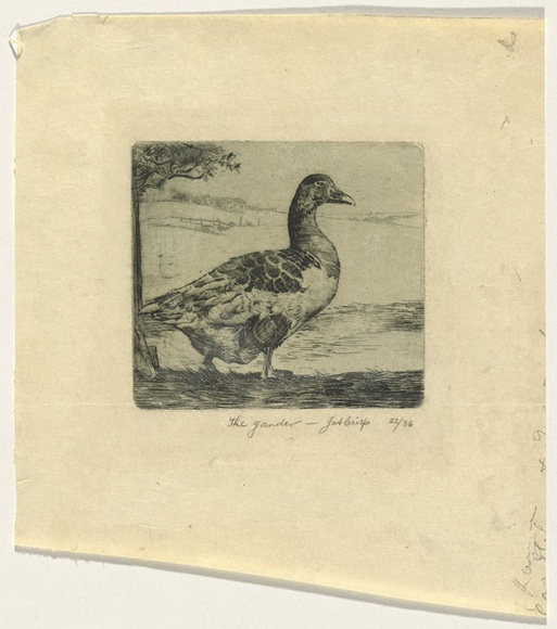 Artist: b'Crisp, James.' | Title: b'The gander.' | Date: 1924 | Technique: b'etching, printed in green ink with plate-tone, from one plate' Artist: b'Crisp, James.' | Title: b'The gander.' | Date: 1924 | Technique: b'etching, printed in green ink with plate-tone, from one plate'